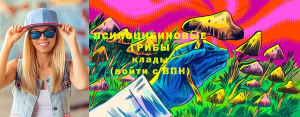 соль курить ск Арсеньев