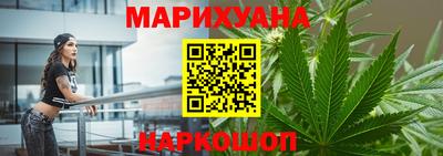 стаф Дубна