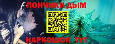 стаф Дубна