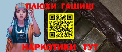 стаф Дубна