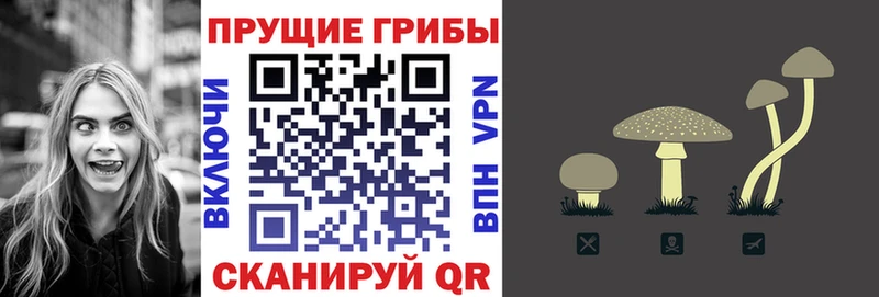 Псилоцибиновые грибы Cubensis  Серов 