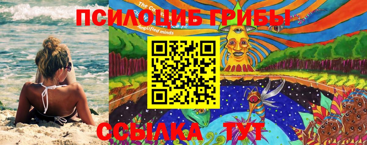 Галлюциногенные грибы MAGIC MUSHROOMS  Вход с VPN  Серов 