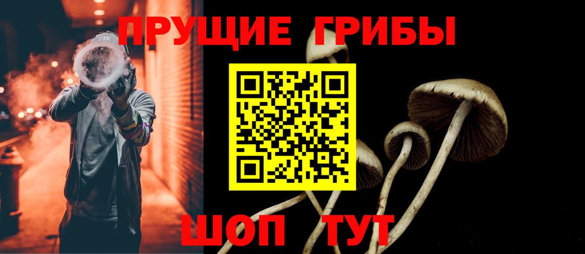 Псилоцибиновые грибы Magic Shrooms Серов