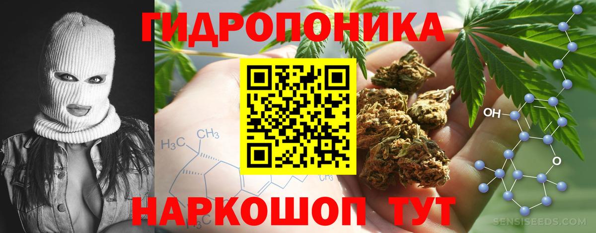 Марихуана Ganja  Бошки Шишки марихуана  Серов  Конопля индика  Марихуана конопля  Вход с VPN 